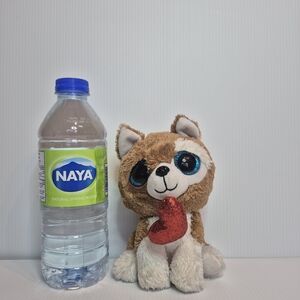 TY BEANIE BOOS "SMOOTCHE"